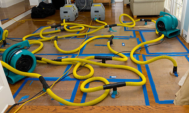 Professional Basement Flood Cleanup technician working in Athol, ID